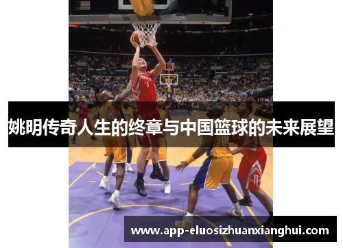 姚明传奇人生的终章与中国篮球的未来展望